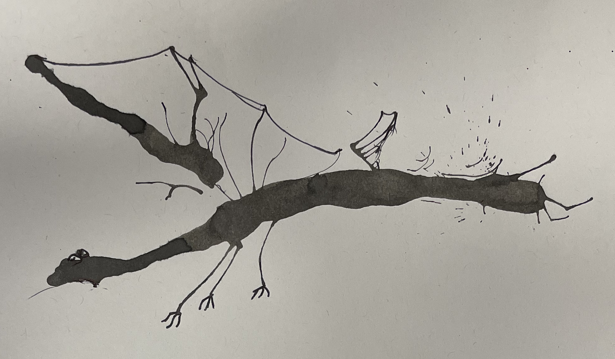 Ink monster, another dragon design